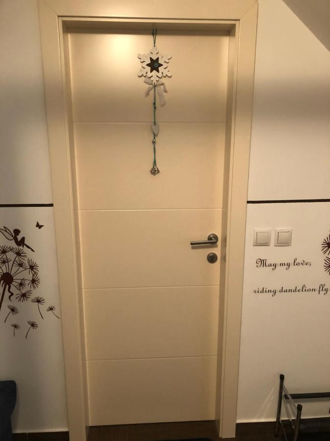 Apartma Ajda Appartement Kranj Buitenkant foto